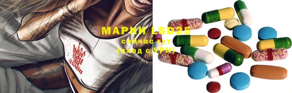 мяу мяу мука Майский