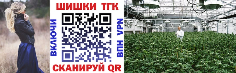 Бошки марихуана сатива  где продают   Устюжна 